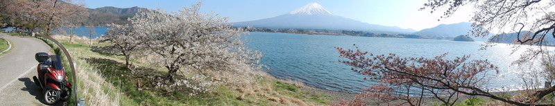 富士山と桜と河口湖